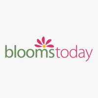 Blooms Today Rocky Mount