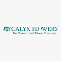 Calyx Flowers Martin